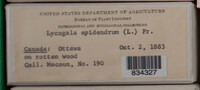 Image Associated With the Occurence